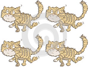 Cat gift card or cloth, pattern, repeating pattern,